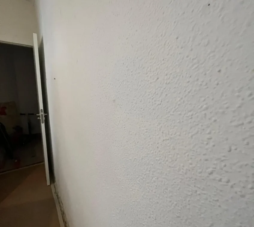 TECNIASIST - Pintado y Alisado de un Piso en el Paseo de la Bomba - Estado incial de las Paredes