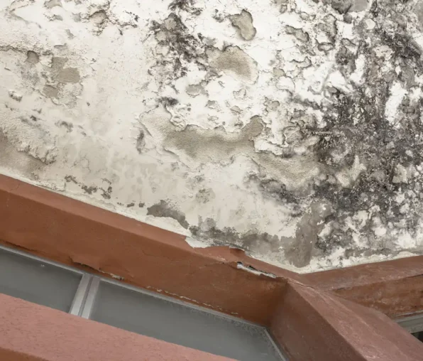 TECNIASIST---Humedad-en-el-Techo-II