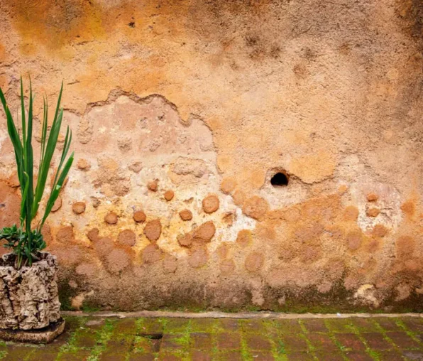 TECNIASIST---Humedad-por-Capilaridad