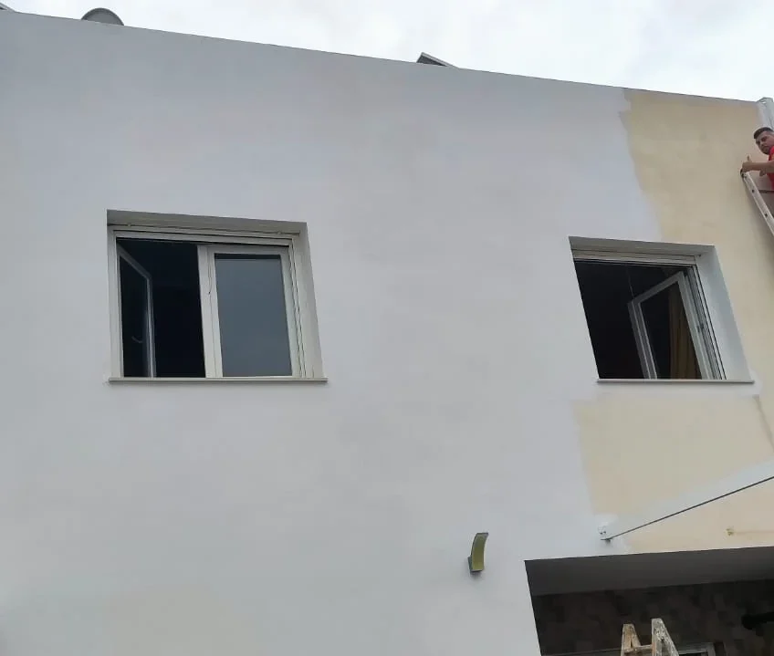TECNIASIST---Pintado-de-una-Casa---Churriana-de-la-Vega-X