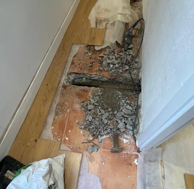 TECNIASIST - Reparación de Fuga en Granada - 1